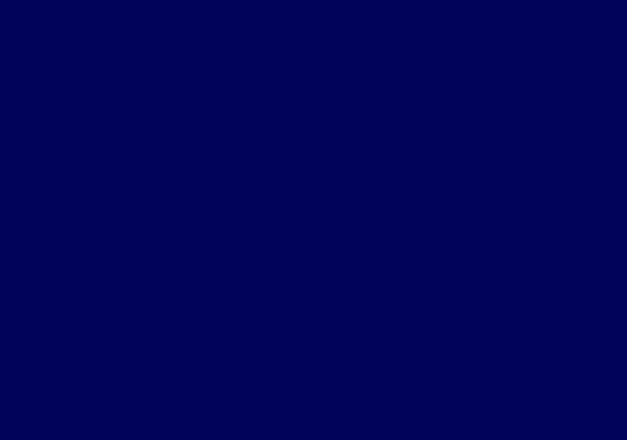 Elavon